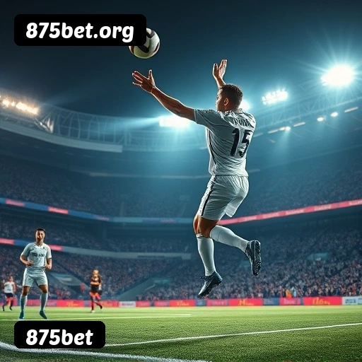 Recursos Exclusivos do App 875bet - Modo Offline, Login Biométrico